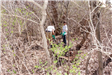 2015_Menomonee_River_Cleanup_Menomonee_Falls (39 of 57)