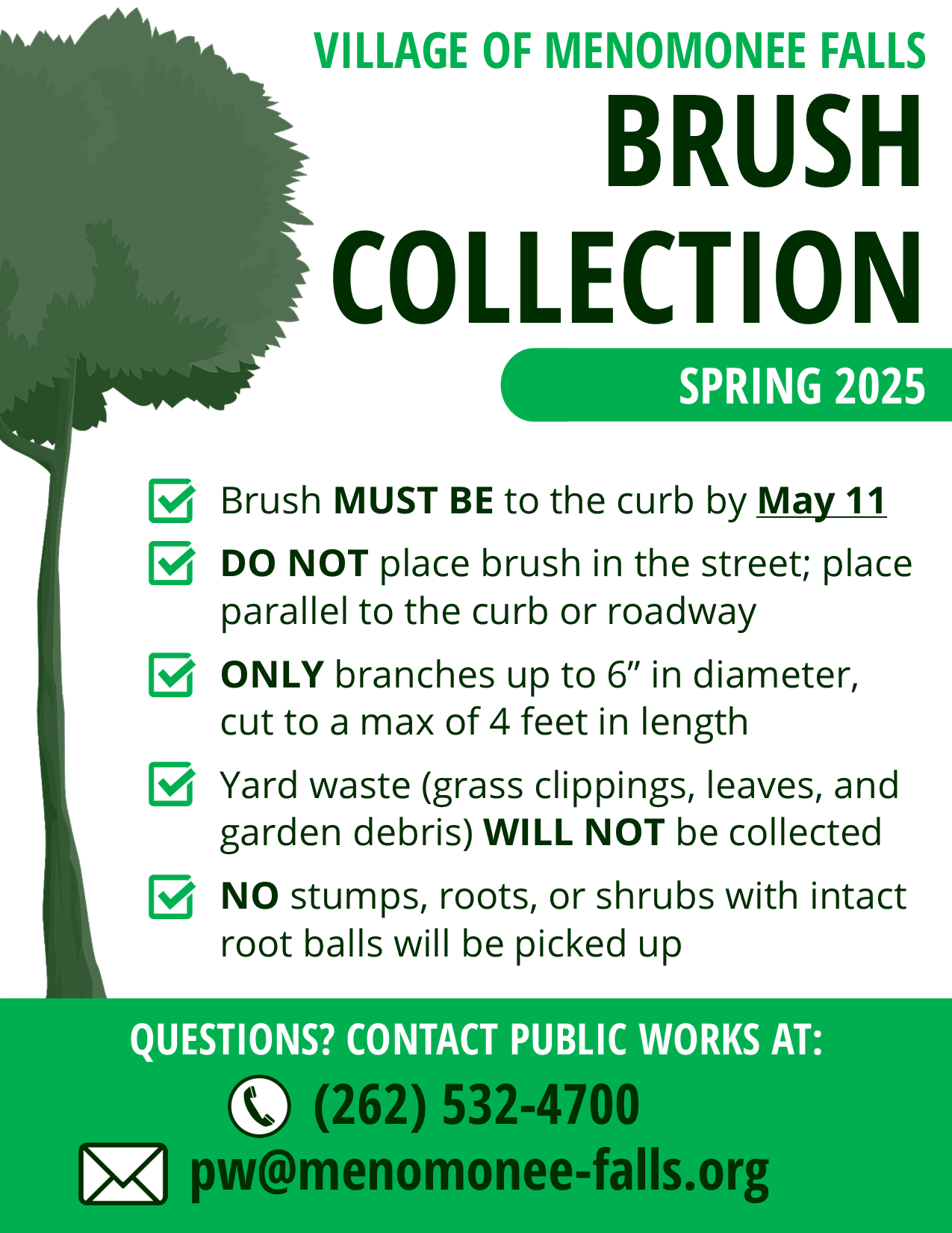 Brush Collection 2025