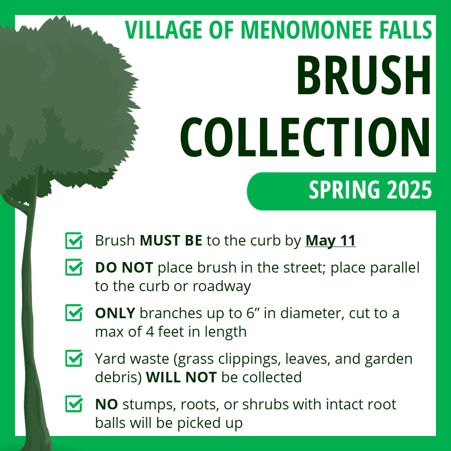 Brush Collection - Newsflash